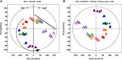 Comprehensive Secondary Metabolite Profiling Toward Delineating the Solid and Submerged-State Fermentation of Aspergillus oryzae KCCM 12698